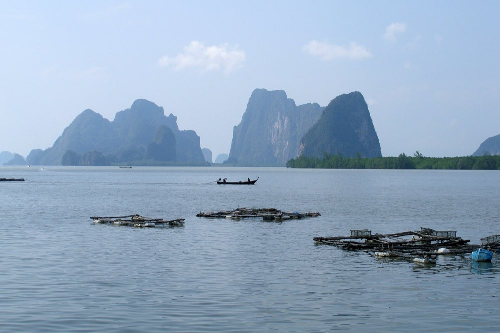Limestone karst islands rising from Phang Nga Bay