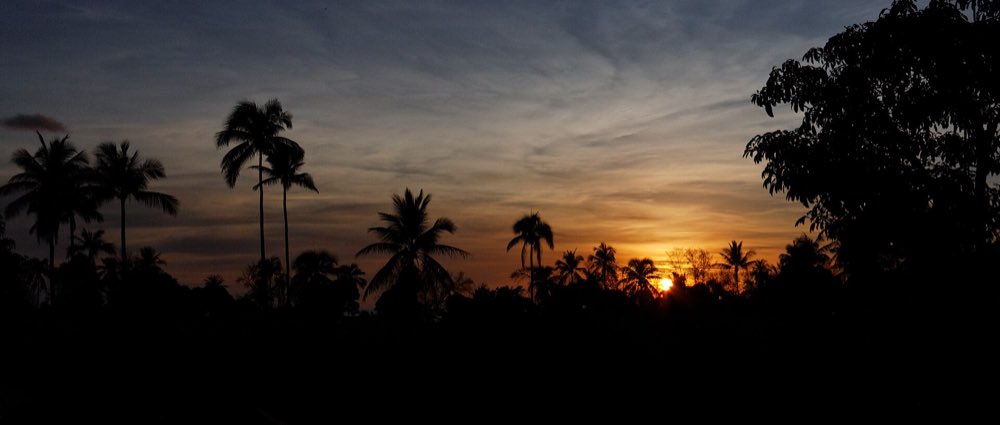 Palm trees silhouetted against a sunset at Mai Khao